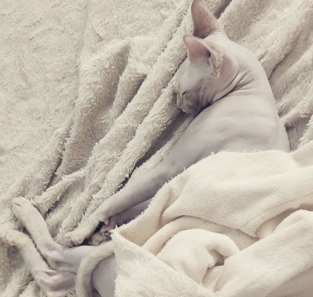 изображение_viber_2023-03-01_20-09-39-971.jpg