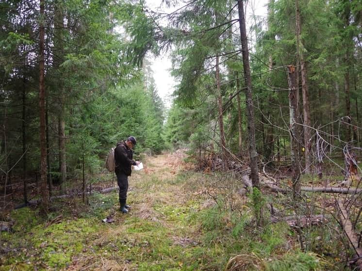 Осенний учет курообразных в Серпухове завершился успешно