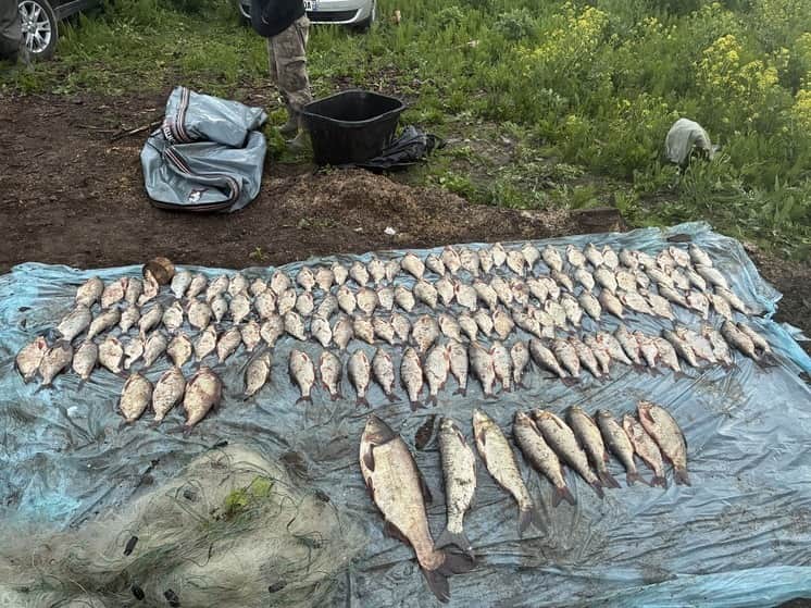 В Серпухове задержали браконьеров с уловом на 125 тысяч