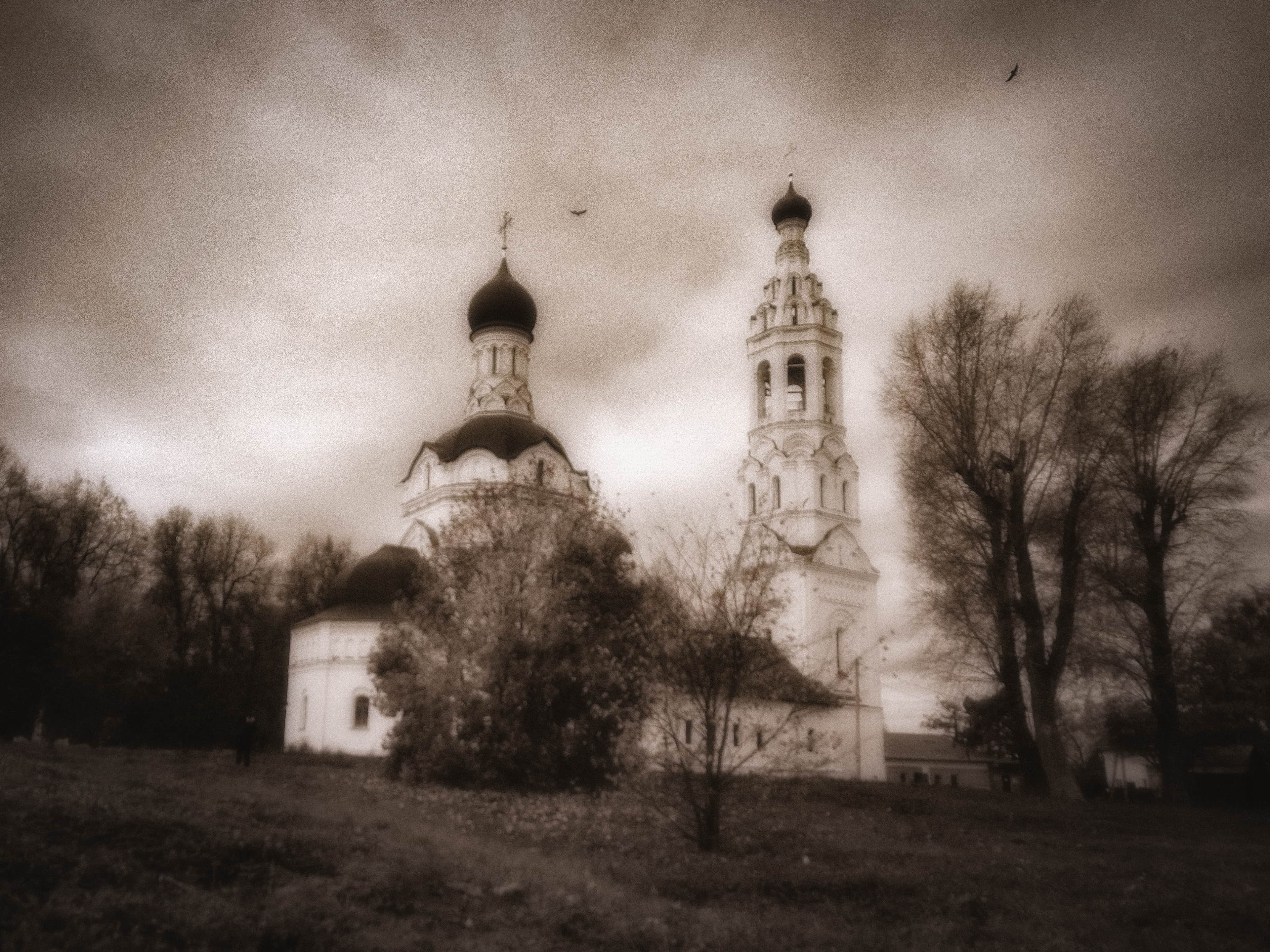 На Липицких ветрах
