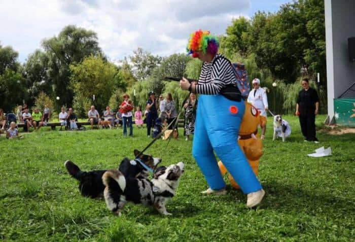 Юбилейный фестиваль собак в Принарском парке проведут в стиле диско