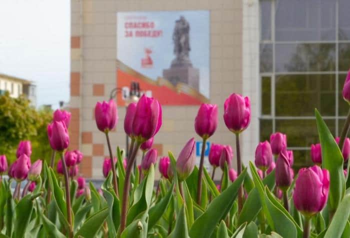 6 мая в рамках 80-летия Победы в жителей Серпухова ждет насыщенная программа: