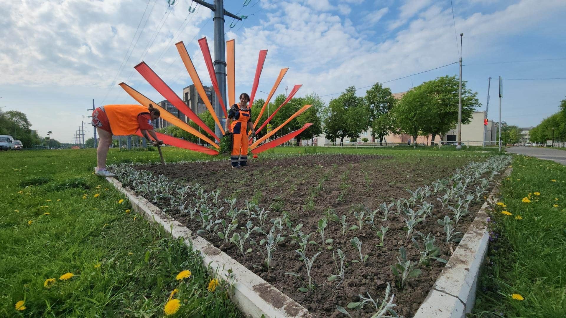 Серпухов расцвёл: в центре высадили более 3000 цветов