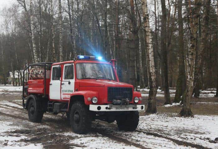 В лесах под Серпуховом создадут 102 км противопожарных полос