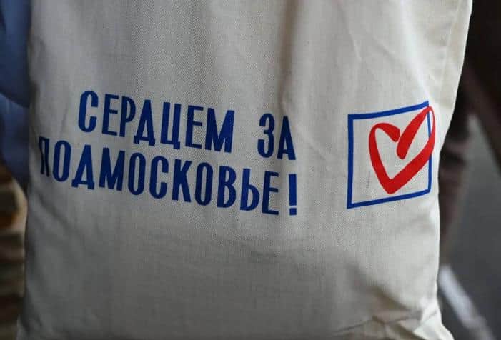 Серпуховичи могут попросить волонтера помочь на выборах