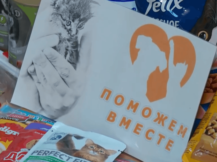 В Серпухове прошла акция «Помоги мохнатому другу»