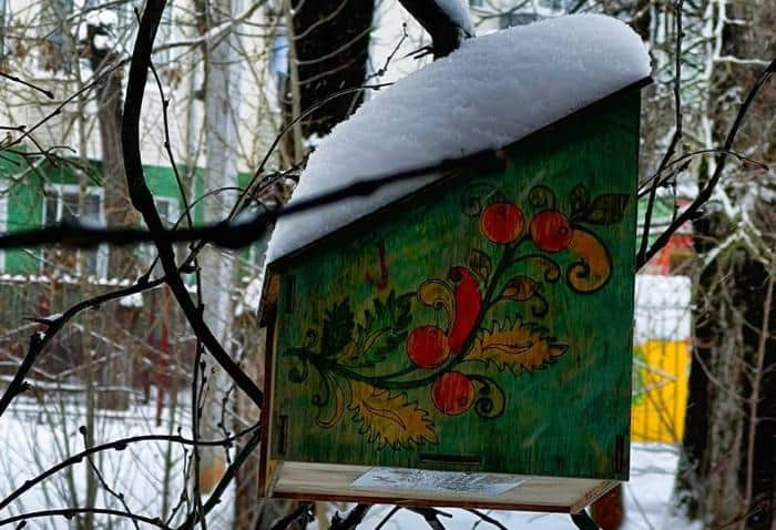 Серпуховичей просят помочь птицам пережить сильные морозы