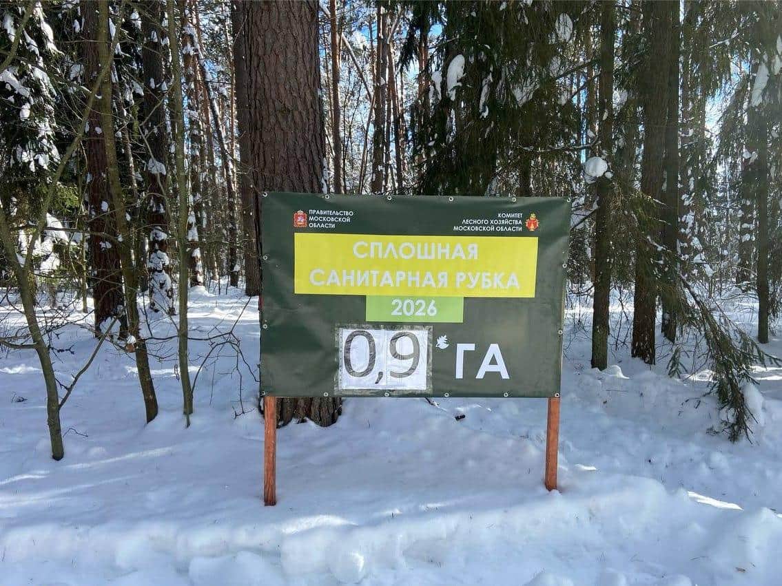 Проход и проезд в подмосковных лесах временно ограничат