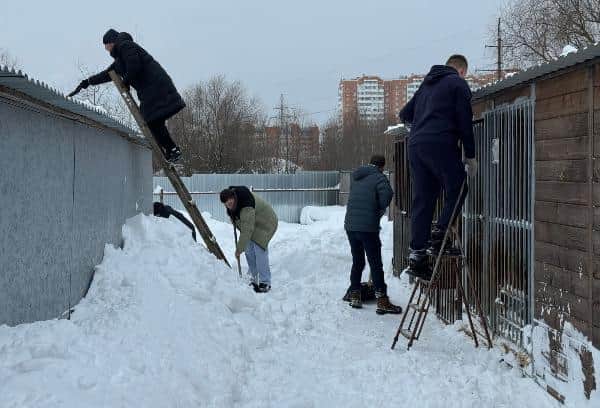 В Серпухове собак и кошек выручили из снежного плена