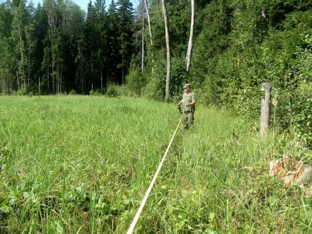В Серпухове проверяют молодые посадки