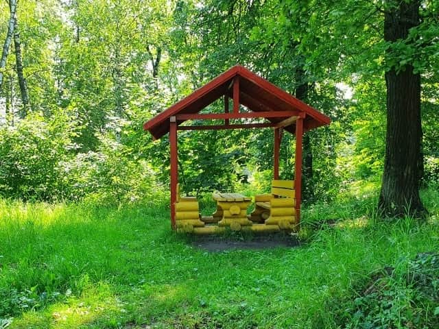 Лесничие Серпухова готовят план защиты от пожаров на год вперёд