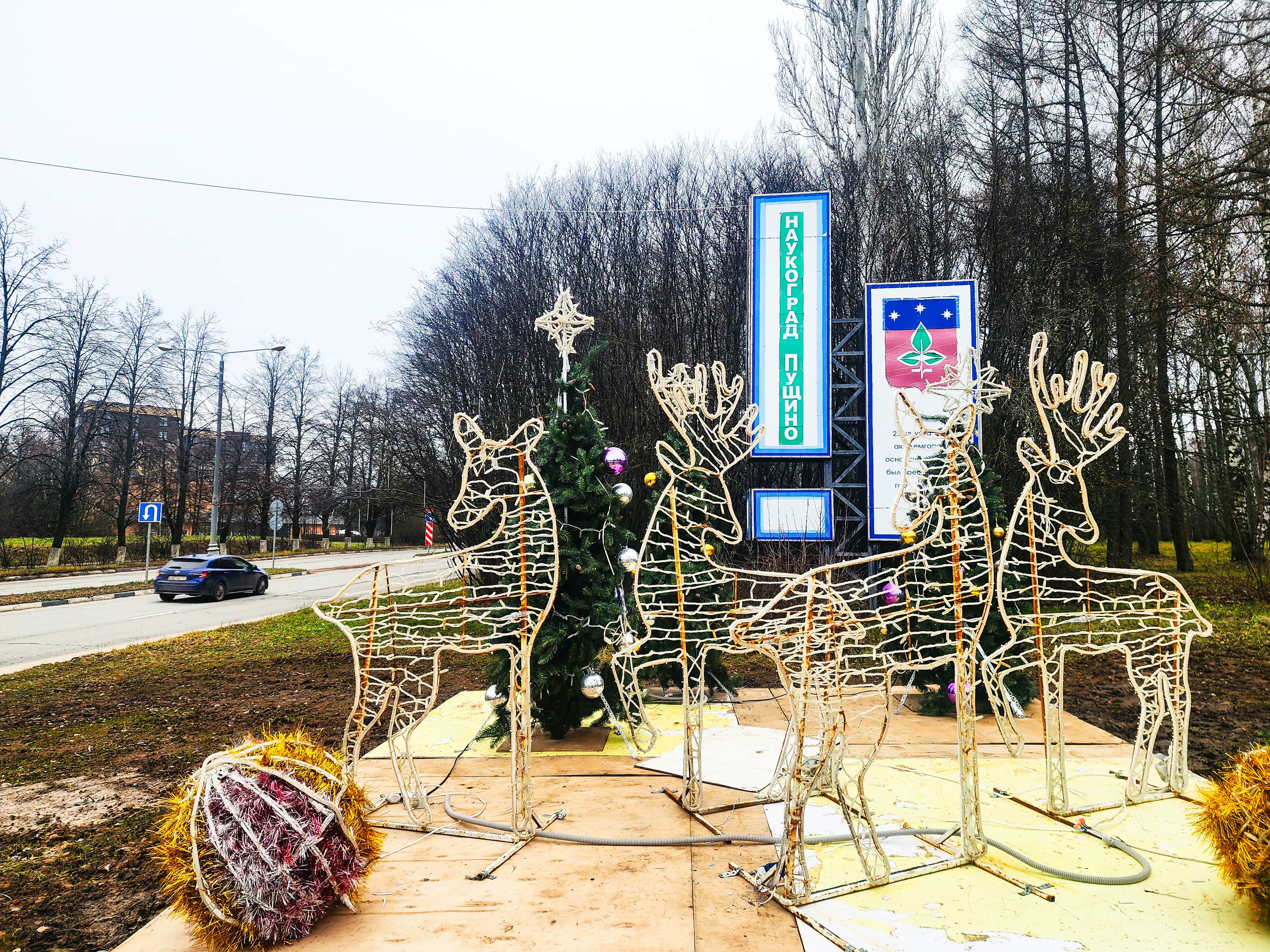 На въезде в Пущино появились северные олени