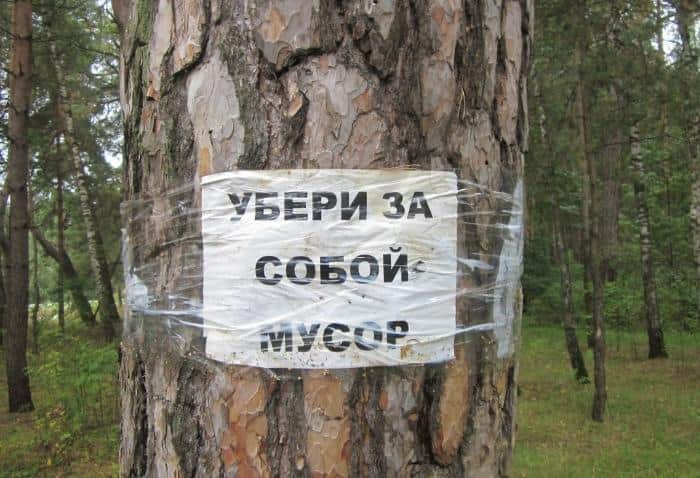 Жителей Серпухова зовут на субботник 18 апреля: где взять инвентарь