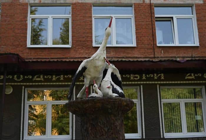 В Серпуховской больнице напомнили, как пройти гинекологическую диспансеризацию