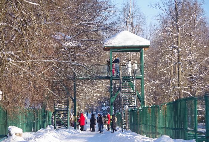 В заповеднике под Серпуховом дали советы для комфортного визита в зимнее время