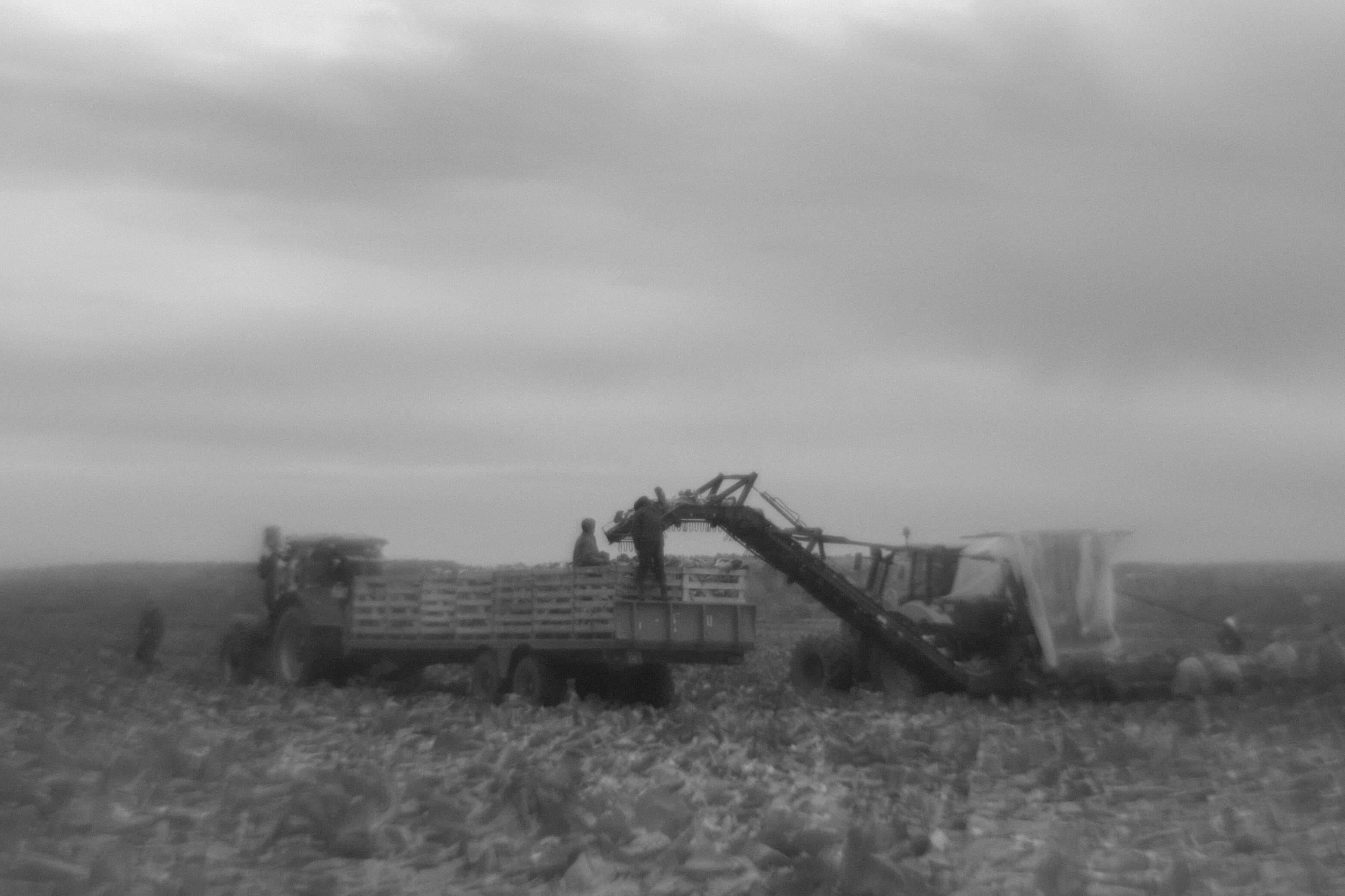 DSCF9565.jpg