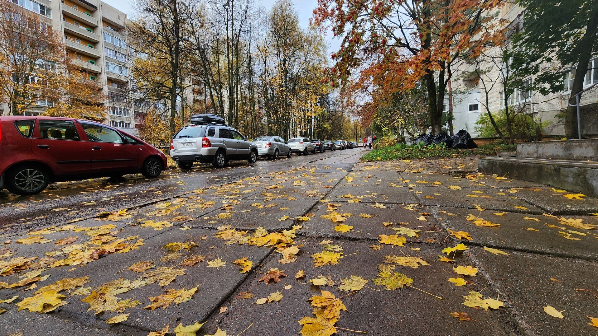 Новые фонари установят на улице Ленина в Протвино