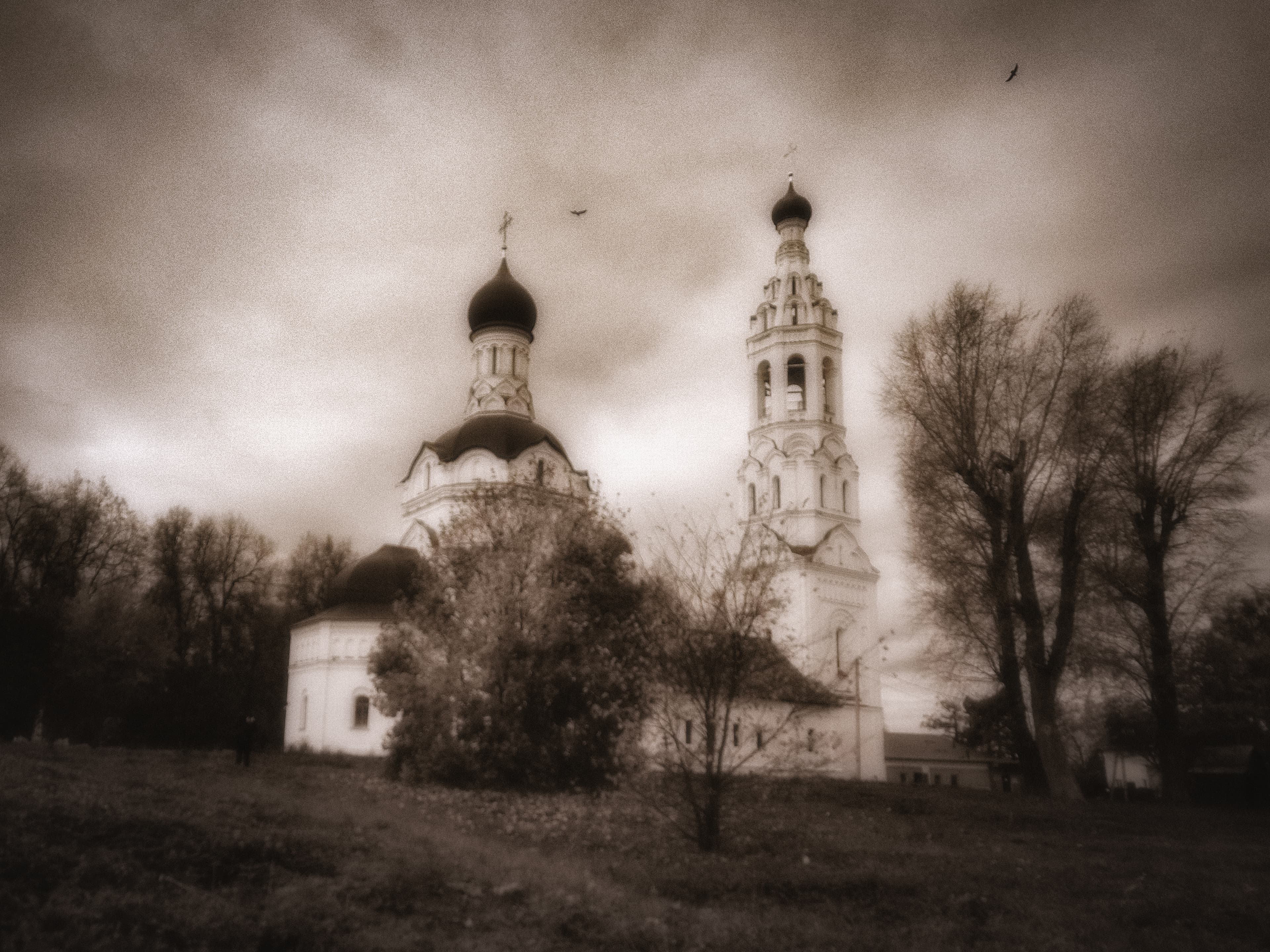 На Липицких ветрах