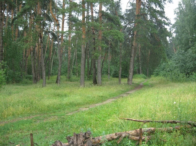 Откуда родом я