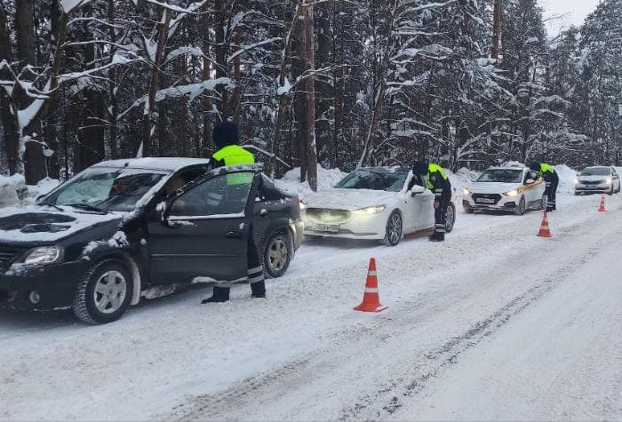 Стало известно, когда в Серпухове водителей проверят на трезвость