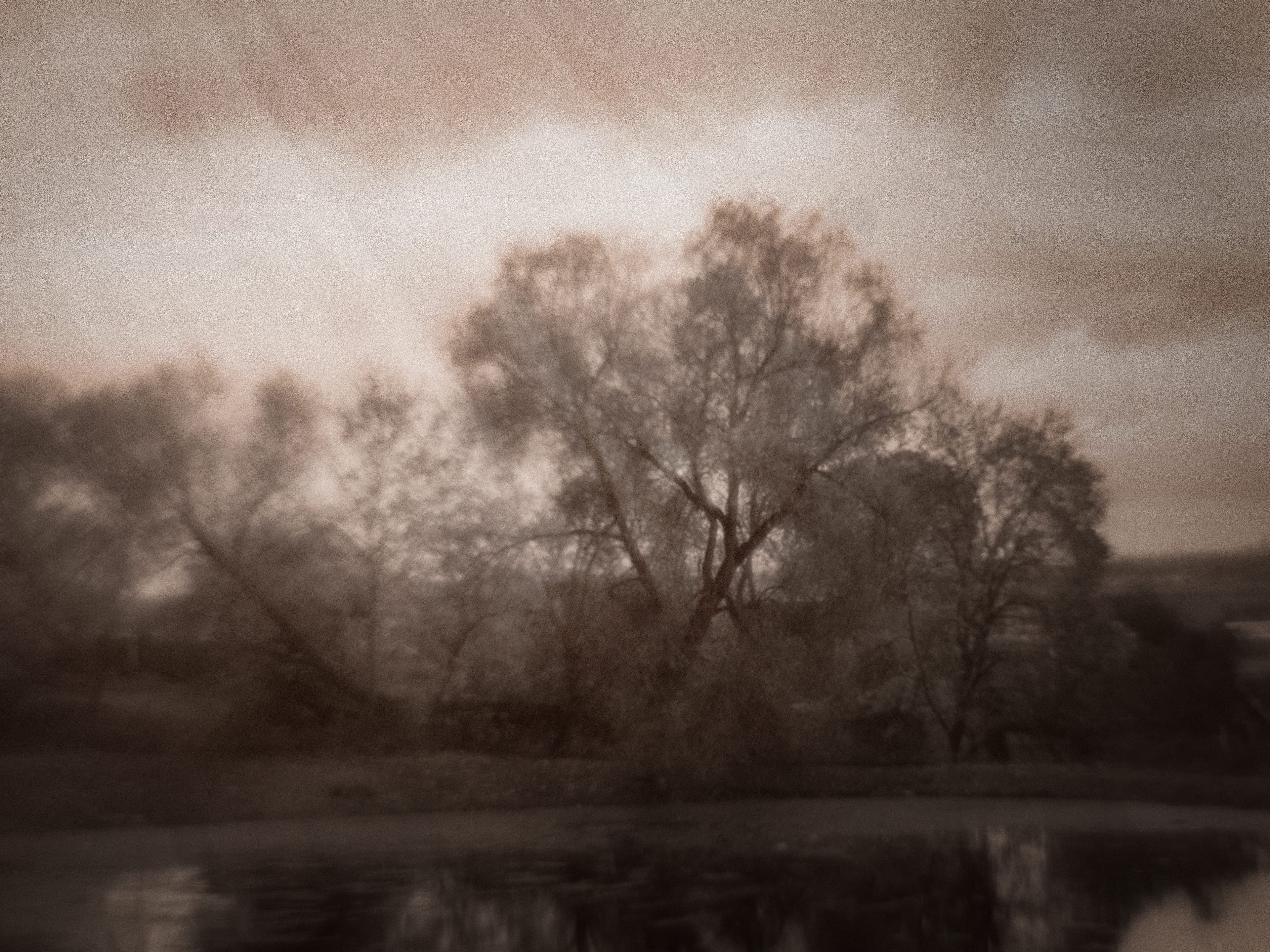 DSCF9403.jpg