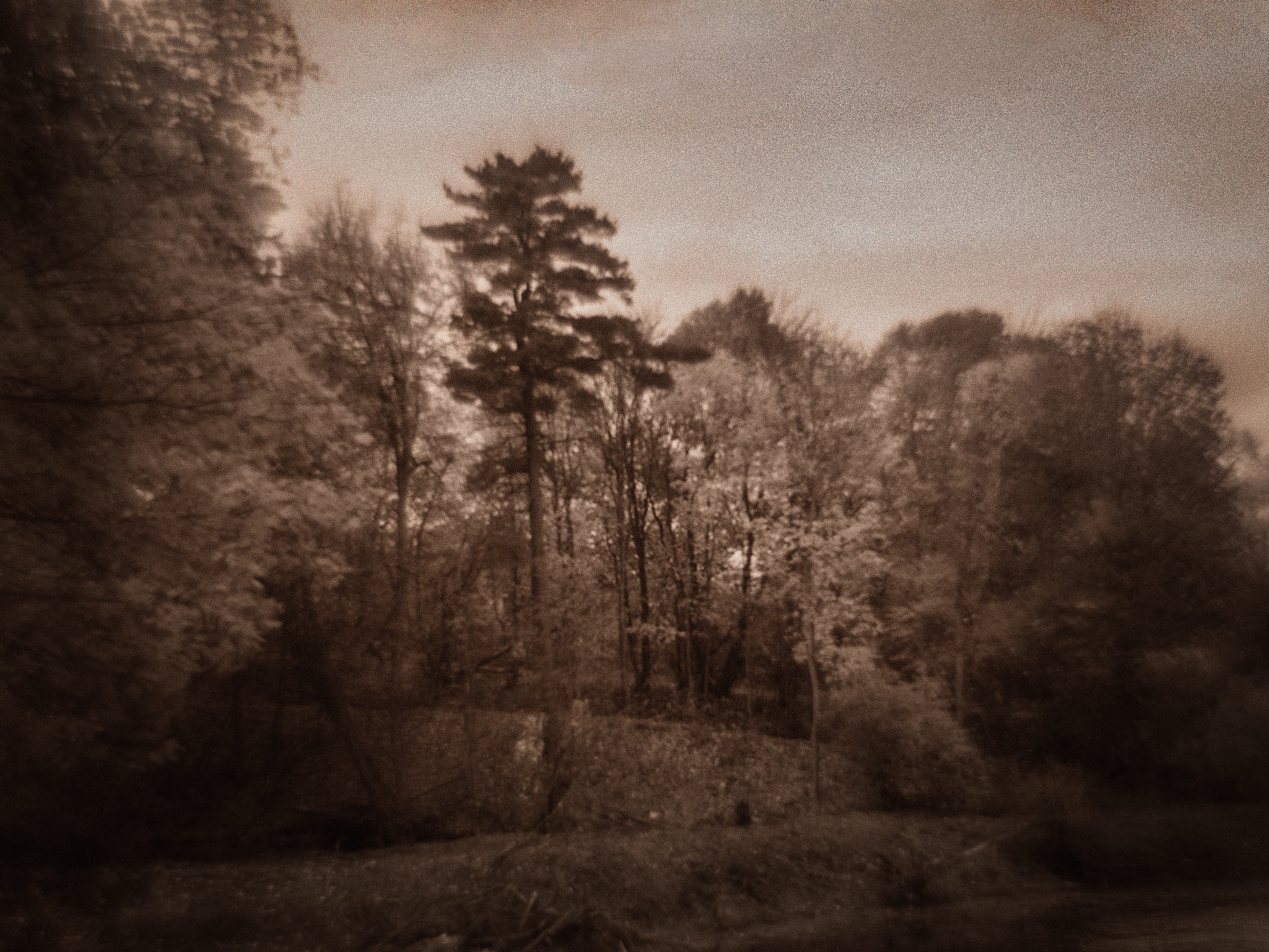 DSCF9397.jpg