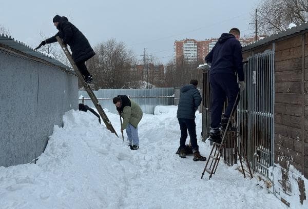 В Серпухове собак и кошек выручили из снежного плена