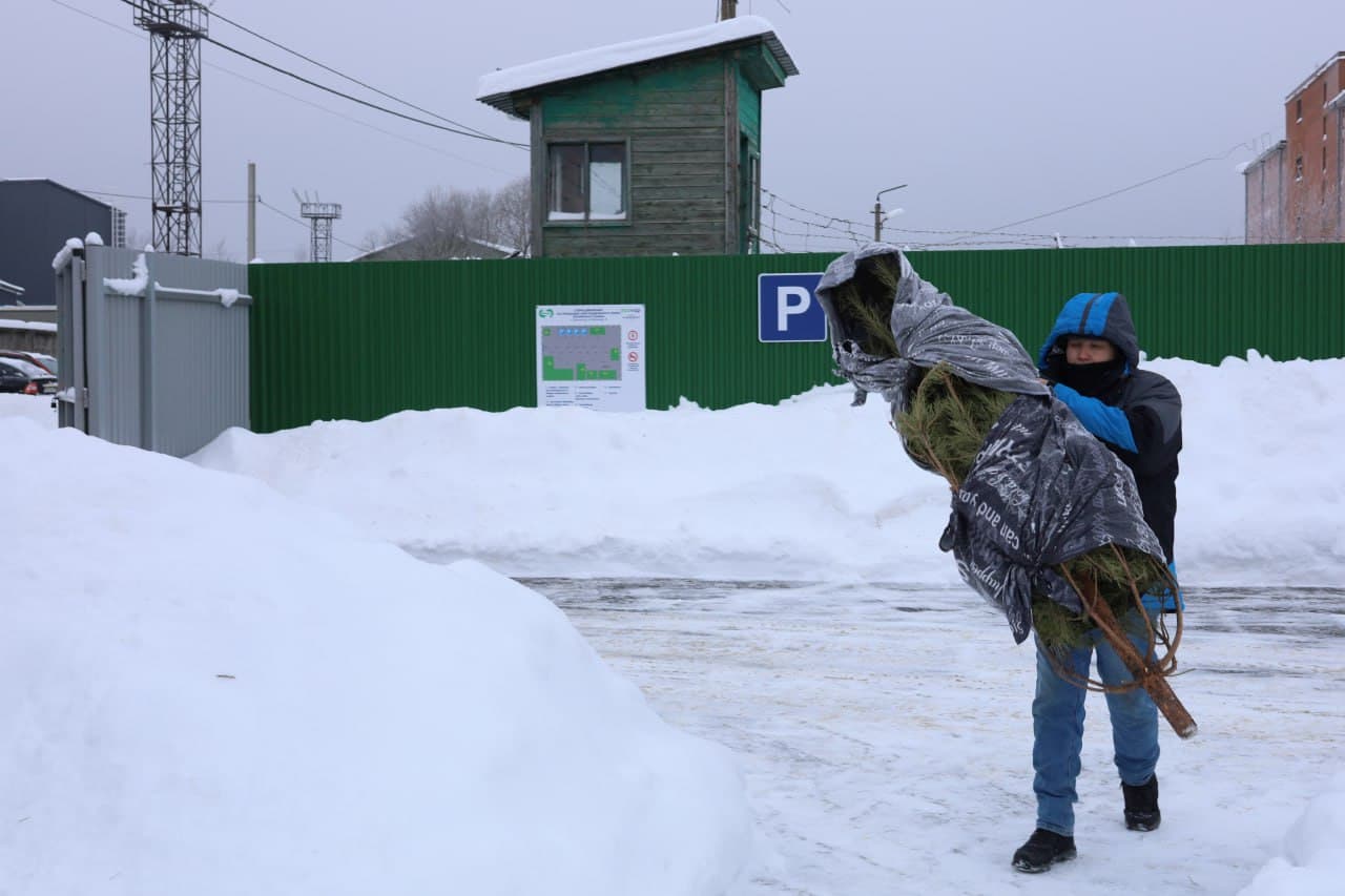 На площадке «Мегабак» установили пункт приёма ёлок