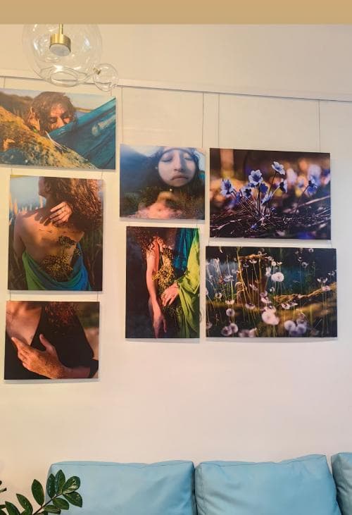 gallery_2_fd02b9db7506882ce967fd5b6c84081c.jpg