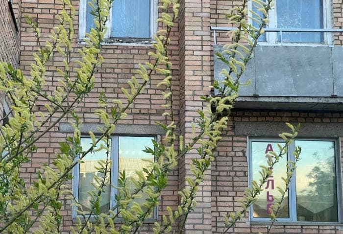 Из-за профработ без электричества останется несколько домов в Серпухове 21 мая