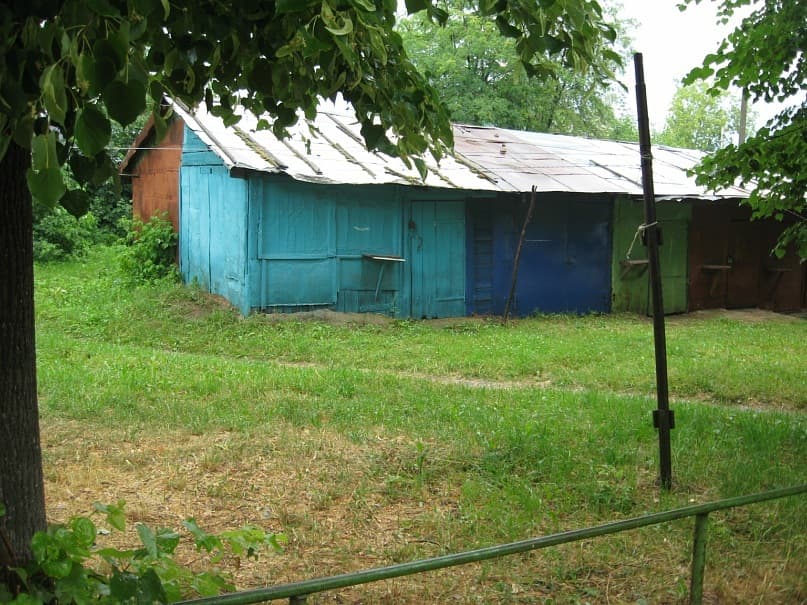 y_0c784923.jpg