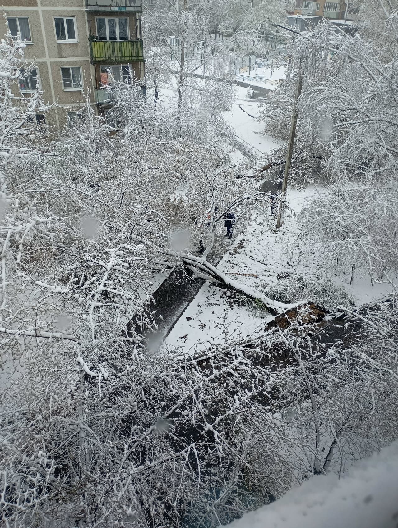 Снежный апокалипсис в Серпухове: апрельский снег и гололёд