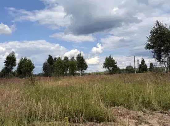 Серпухов вошел в тройку лидеров Подмосковья по торгам землей
