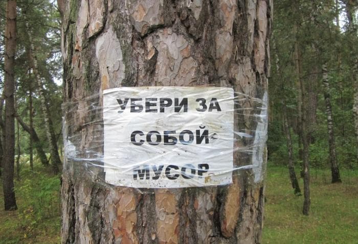 Жителей Серпухова зовут на субботник 18 апреля: где взять инвентарь