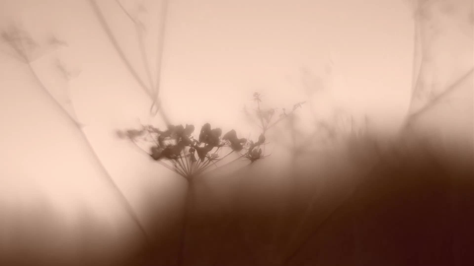 1 - frame at 5m7s.jpg