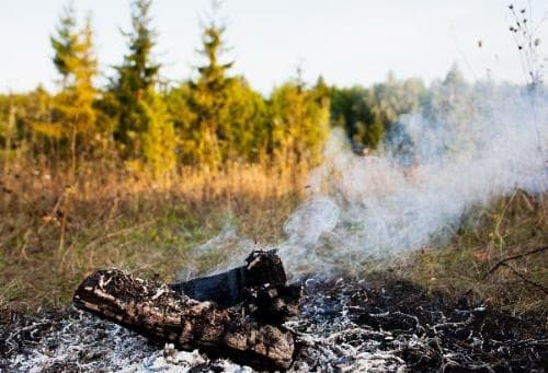 Высокая пожарная опасность: в Серпухове вводится запрет на костры