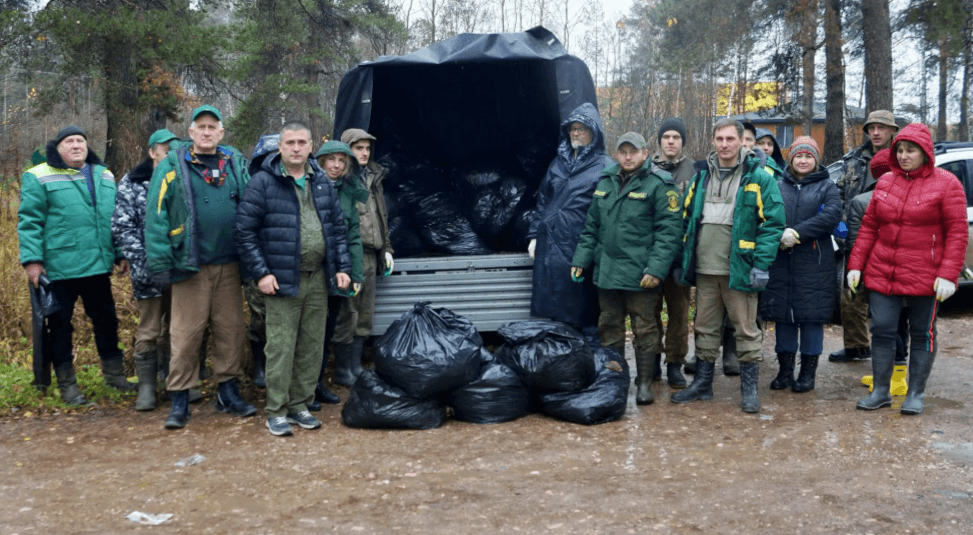 Лес возле Борисово стал чище