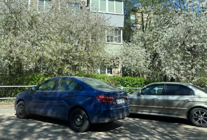 Многодетные семьи из Серпухова могут бесплатно парковаться в 13 городах Подмосковья