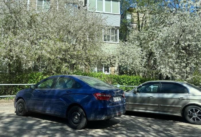 Многодетные семьи из Серпухова могут бесплатно парковаться в 13 городах Подмосковья