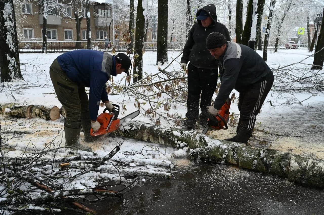 В Серпухове из-за сильного снегопада объявлен оранжевый уровень погодной опасности