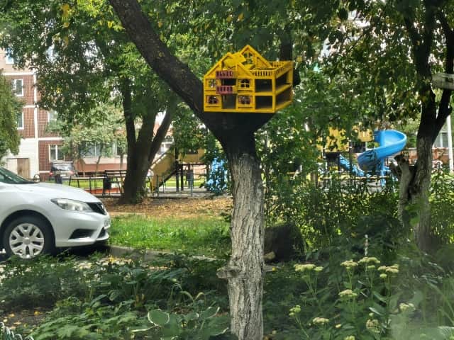 В Подмосковье на выходных потеплеет до +26 °C