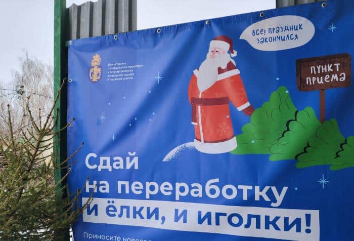 В Серпухове пустят хвойные деревья на корм животным и щепу
