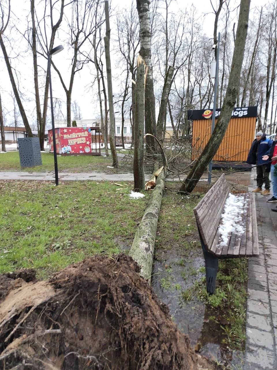 Парк имени Олега Степанова закрыт из-за опасности падения деревьев