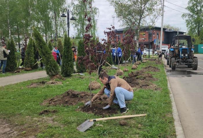 В сквере Калинина высадили 75 деревьев в память о героях войны