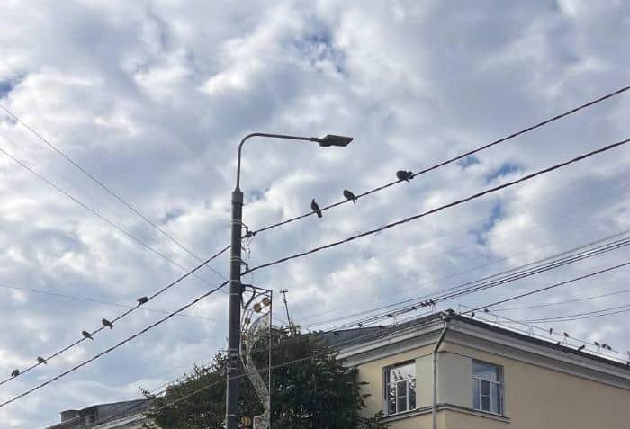 На Октябрьской и 2-й Московской в Серпухове 23 сентября отключат свет