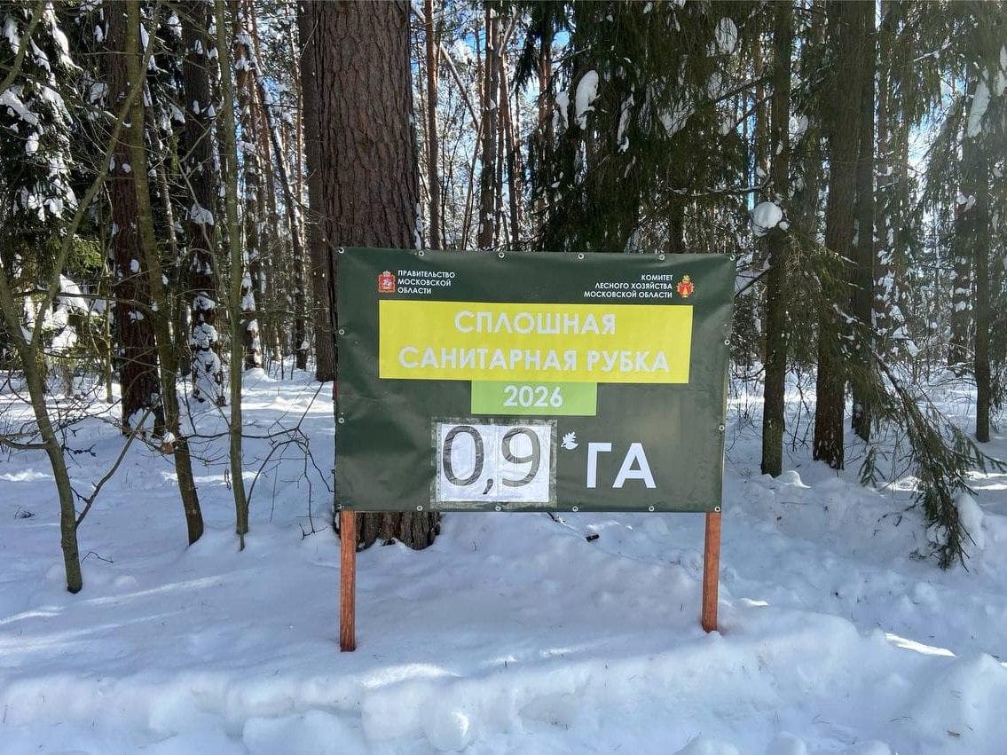 Проход и проезд в подмосковных лесах временно ограничат