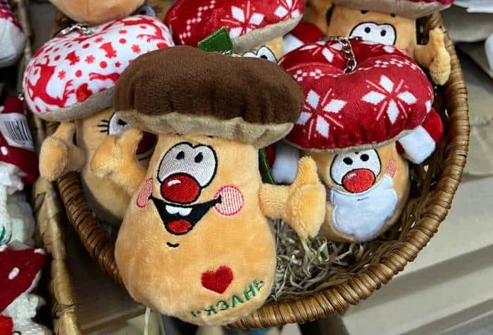 Из Серпухова в Рязань: искать грибы с глазами и гулять по новогодней столице