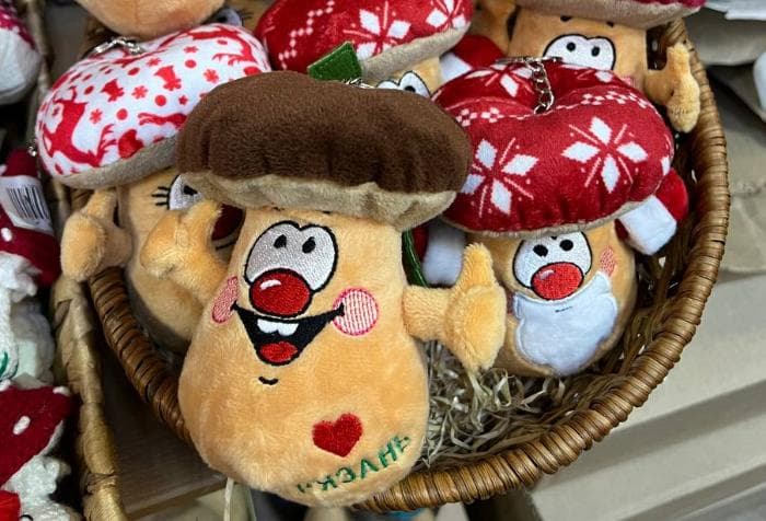 Из Серпухова в Рязань: искать грибы с глазами и гулять по новогодней столице