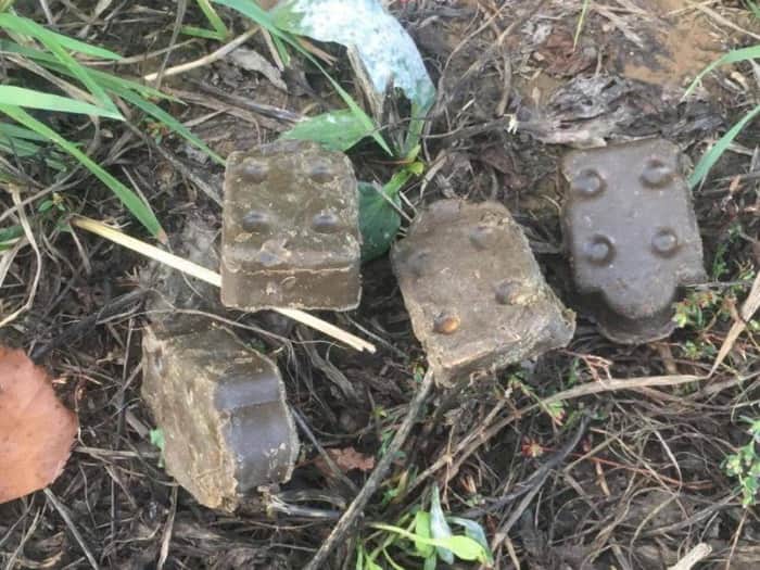 Вакцину от бешенства в Серпухове трогать не рекомендуется