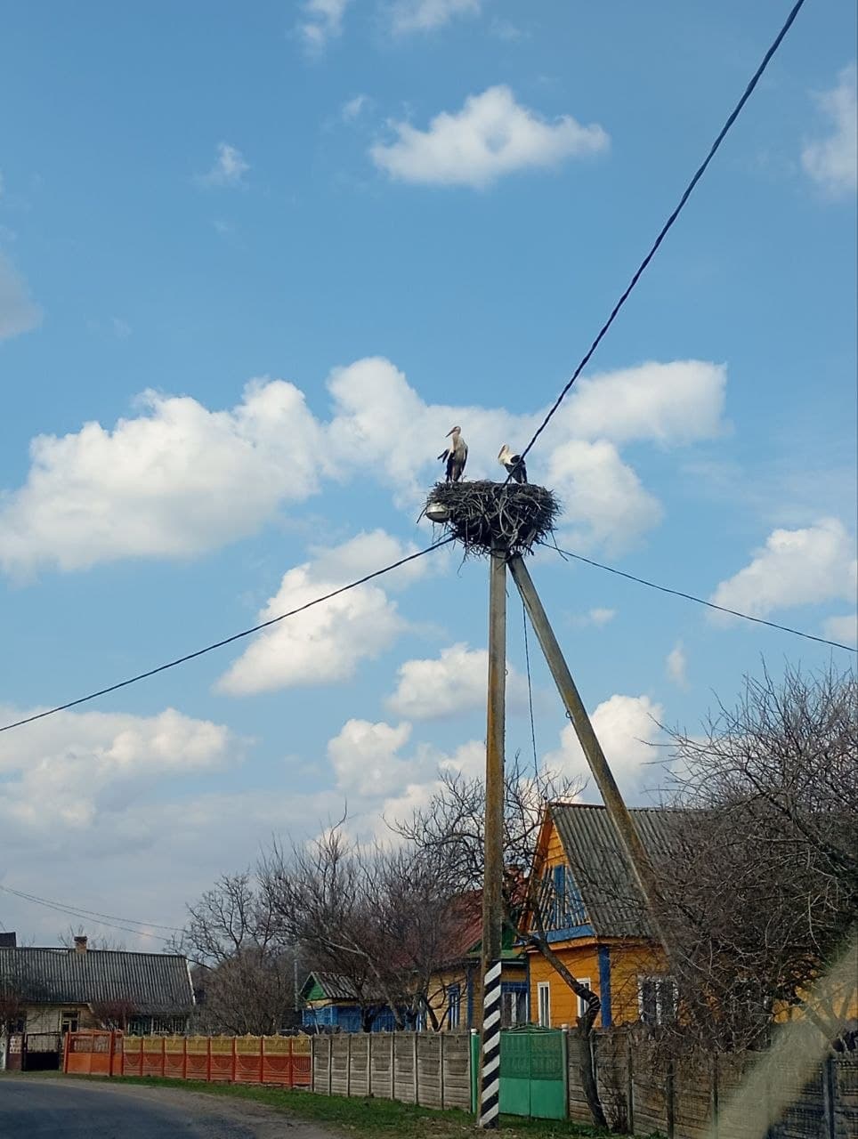 День птиц отметят в Серпухове